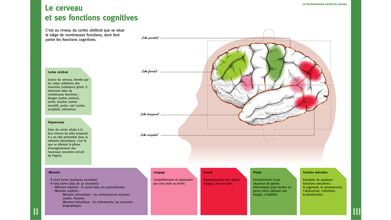 Image - abecedaireneuro06