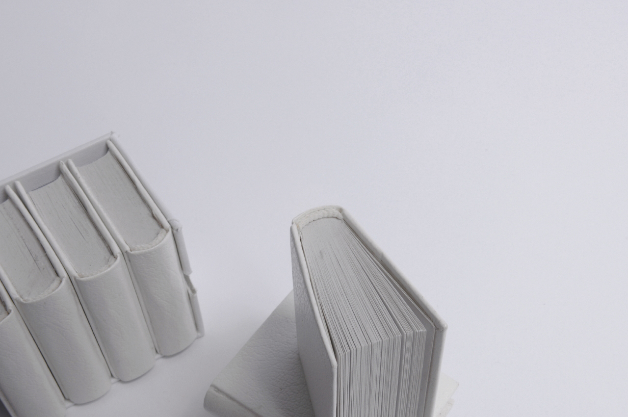 Image - bibliotheque_b08