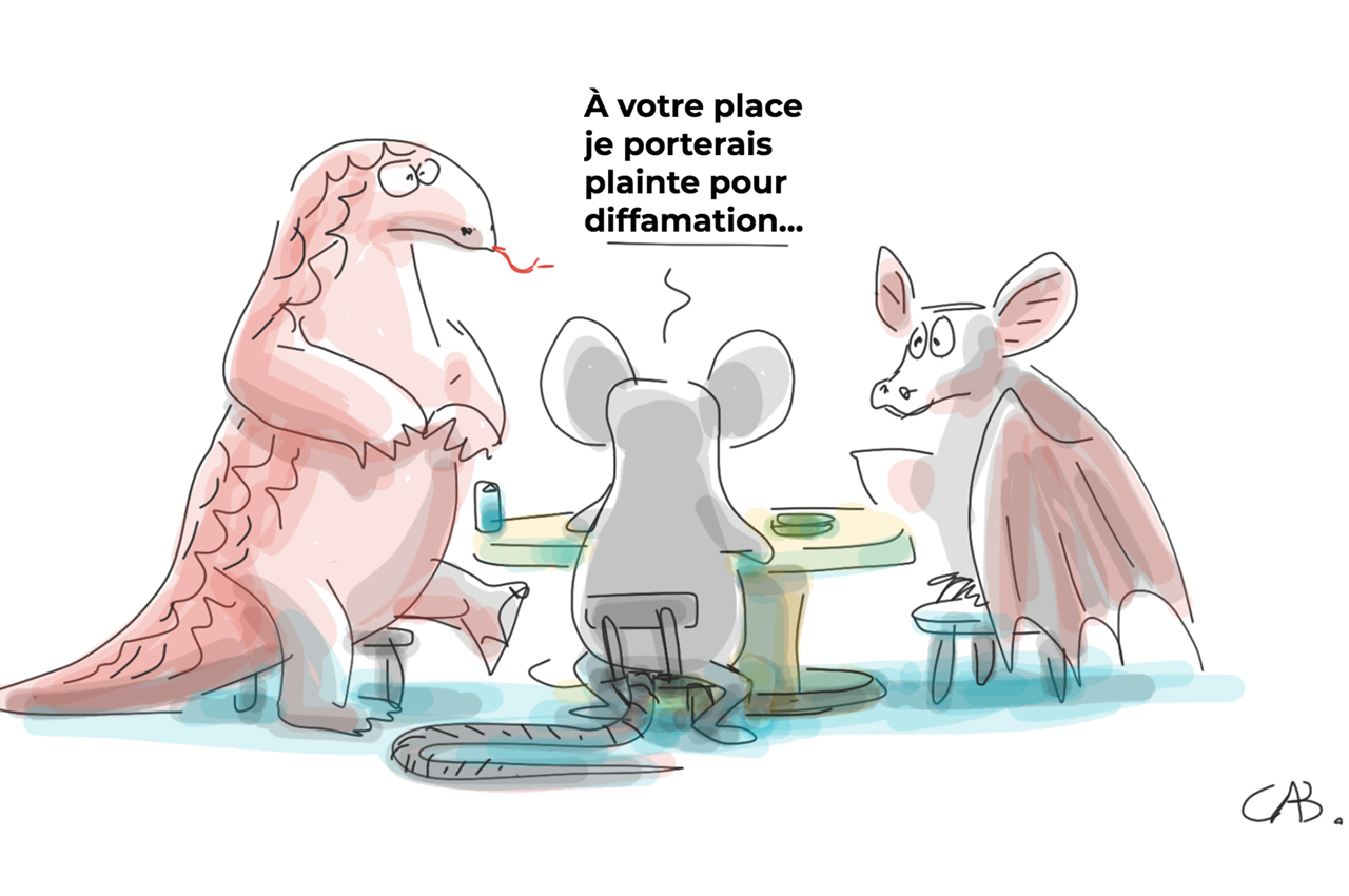 Image - dessin_de_presse_24_avril_15