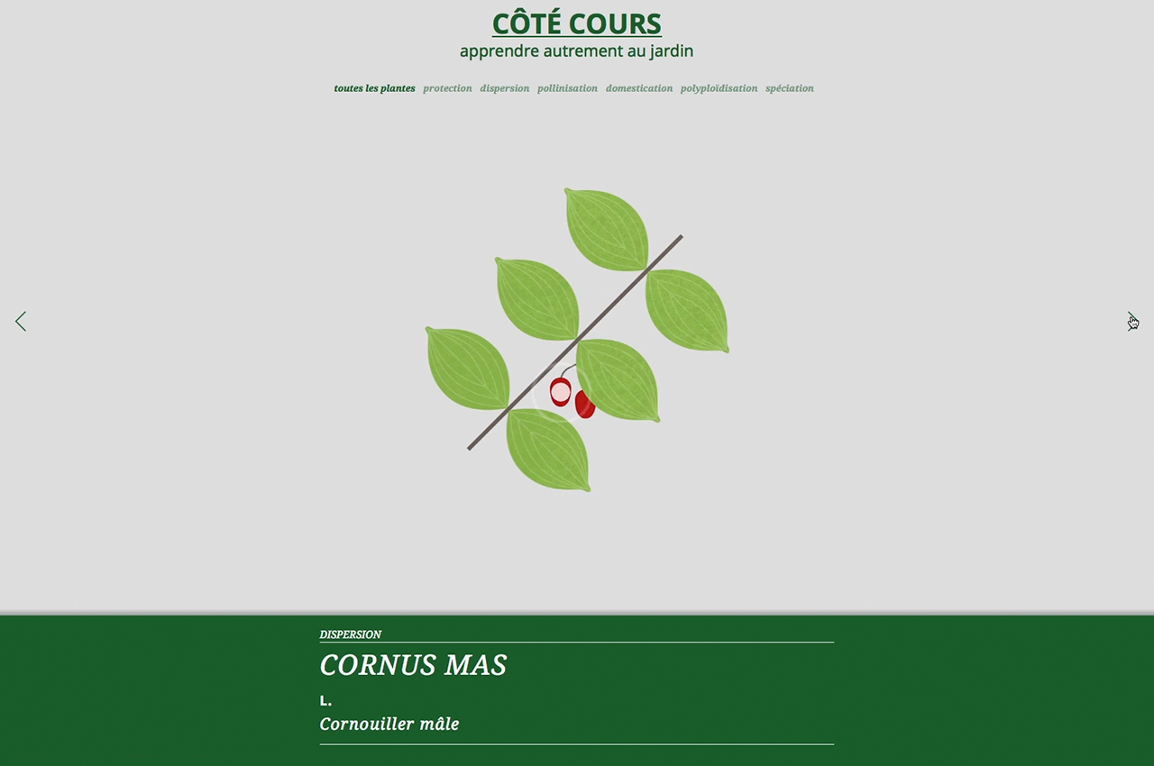 Image - site_internet_cote-cours01