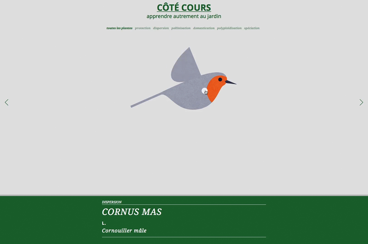 Image - site_internet_cote-cours03