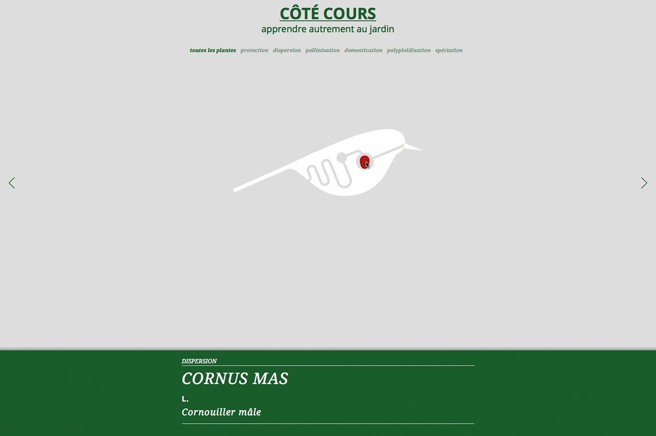 Image - site_internet_cote-cours04