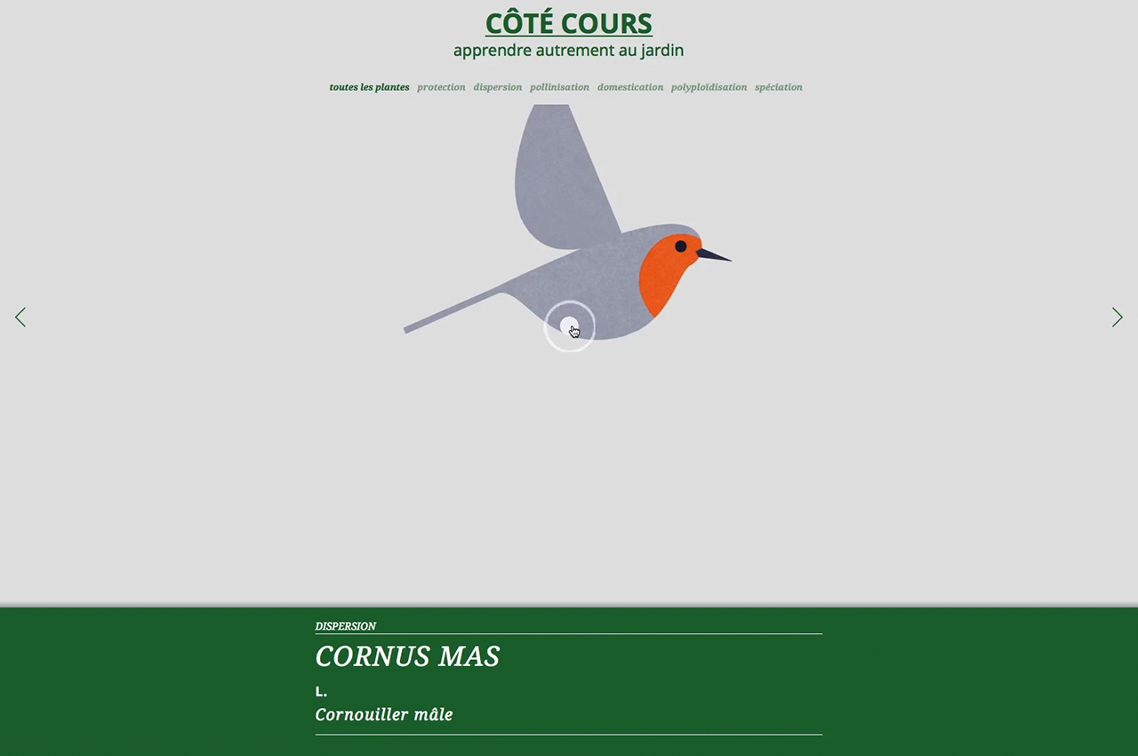 Image - site_internet_cote-cours05