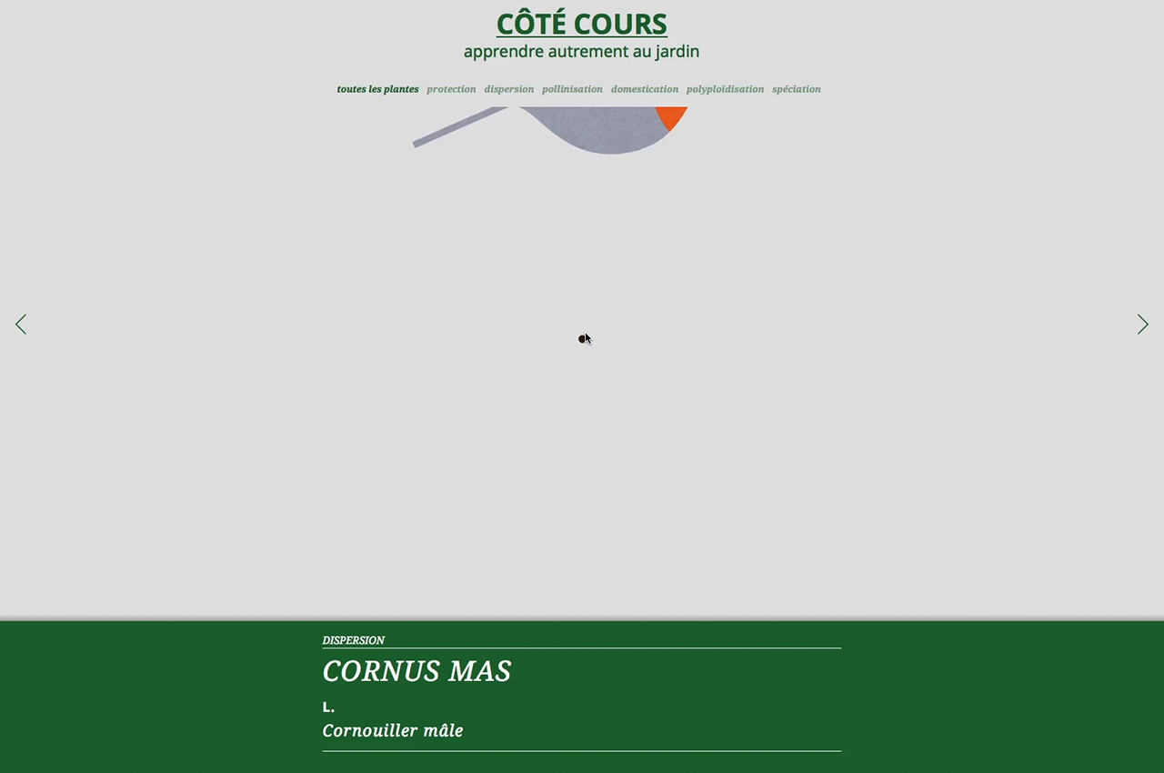 Image - site_internet_cote-cours06