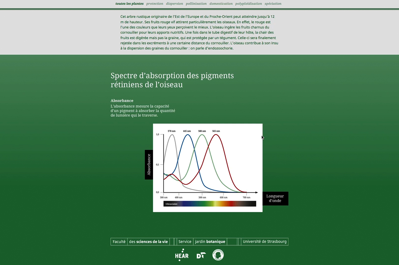 Image - site_internet_cote-cours11