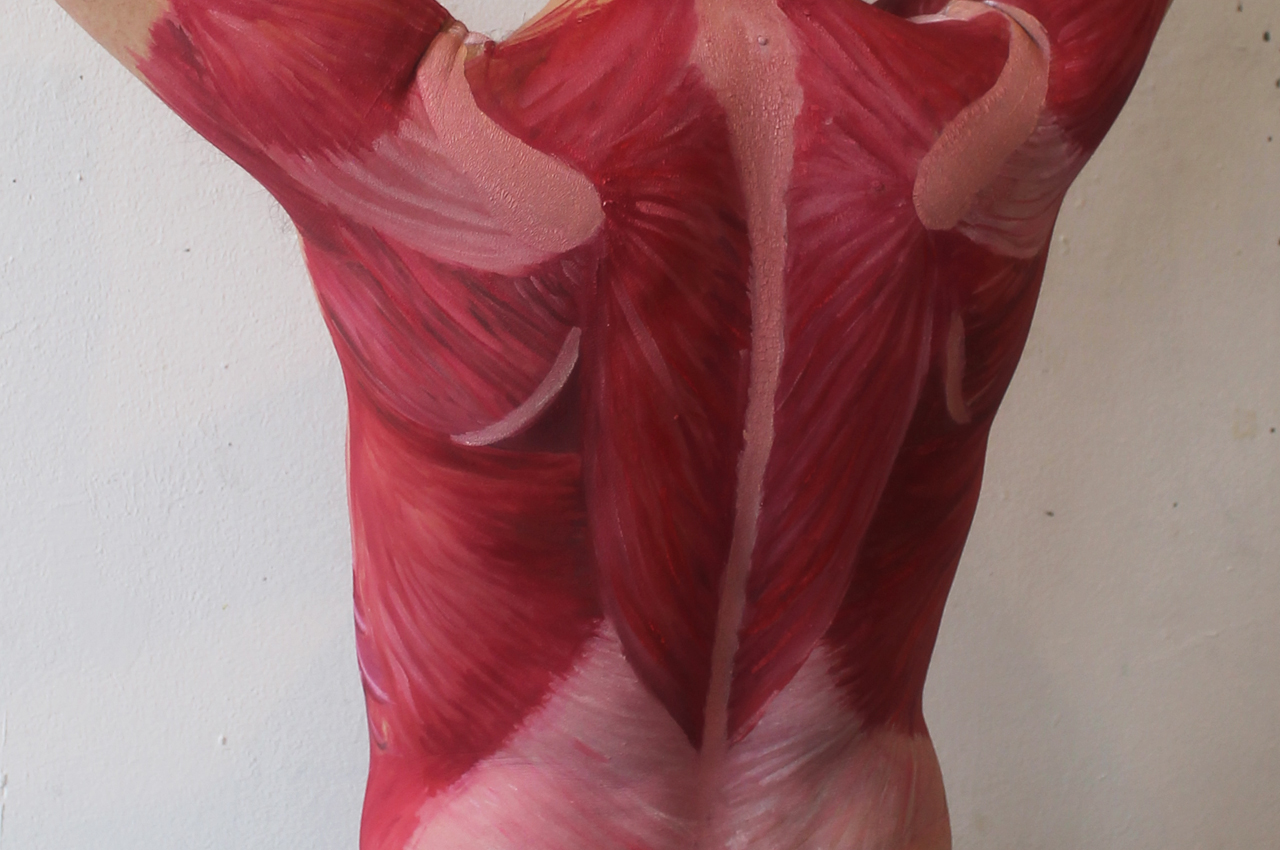 Image - workshop_anatomie_13