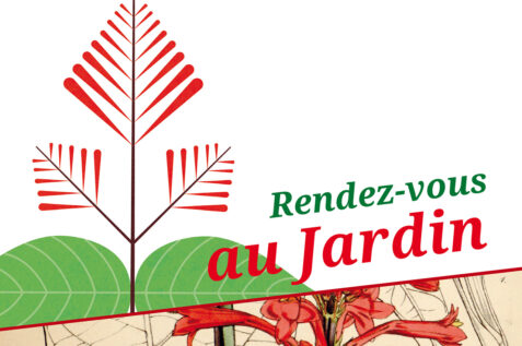 Image - Rendez-vous au Jardin