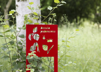 Image - Parcours « Côté cours » au Jardin botanique