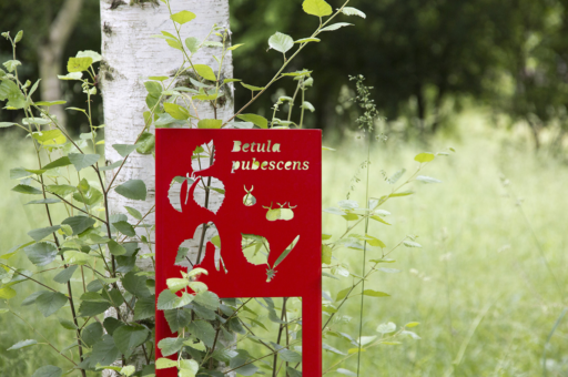 Image - Parcours « Côté cours » au Jardin botanique