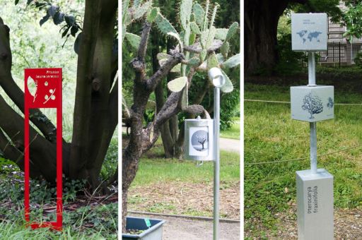 Image - Signalétiques didactiques au Jardin botanique