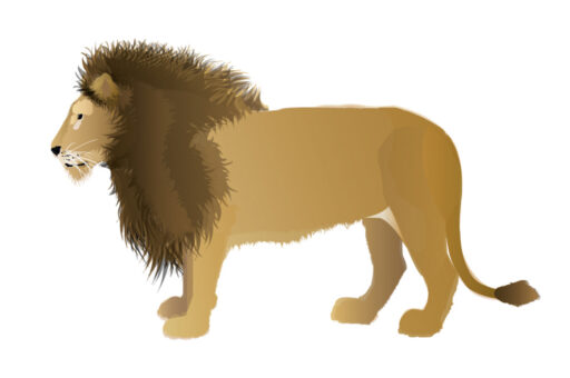 Image - Le lion