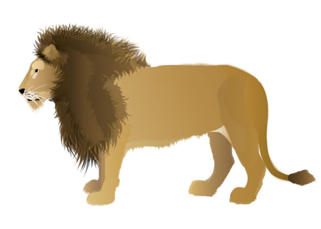 Image - Le lion