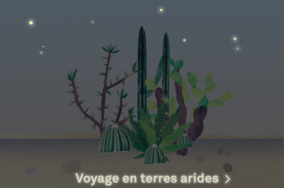 Image - Voyage en terres arides