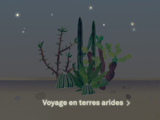 Image - Voyage en terres arides