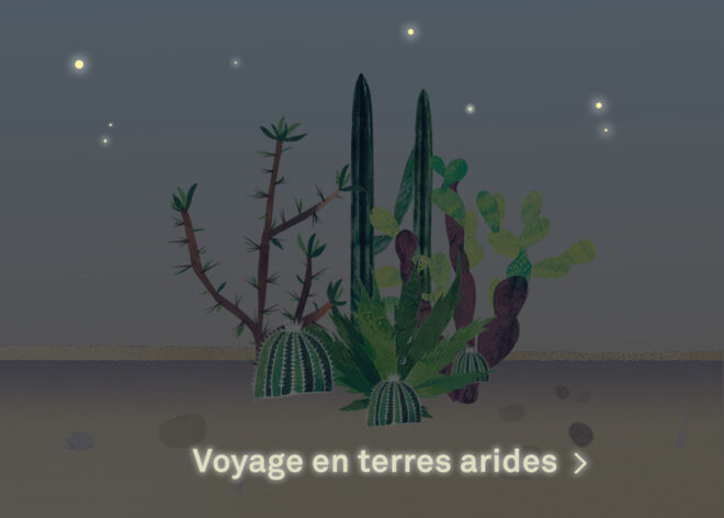 Image - Voyage en terres arides