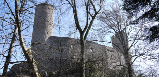 Image - Une journée au château du Haut-Andlau