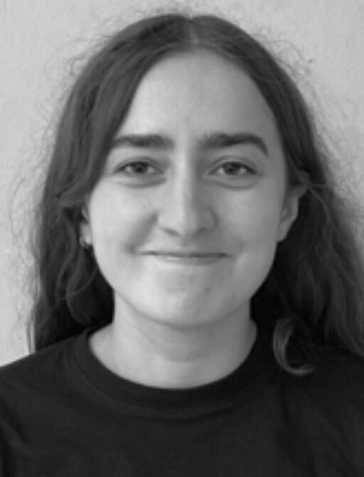 Image - Sarah De Oliveira
