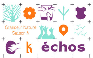 Image - Grandeur Nature saison 4