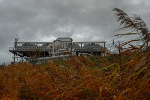 Image - À l’écoute des sols : la pastorale du lithium