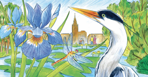 Image - Nature/Ville – One Health – Eau et biodiversité