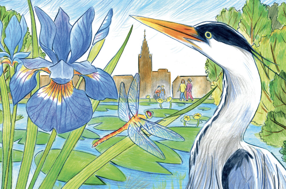 Image - Nature/Ville – One Health – Eau et biodiversité