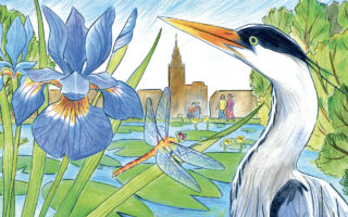 Image - Nature/Ville – One Health – Eau et biodiversité
