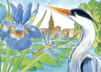 Image - Nature/Ville – One Health – Eau et biodiversité