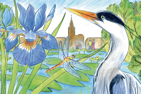 Image - Nature/Ville – One Health – Eau et biodiversité