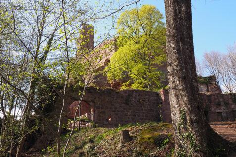 Image - Une journée au château de Girbaden