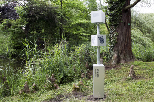 Image - Parcours « Totems » au Jardin botanique