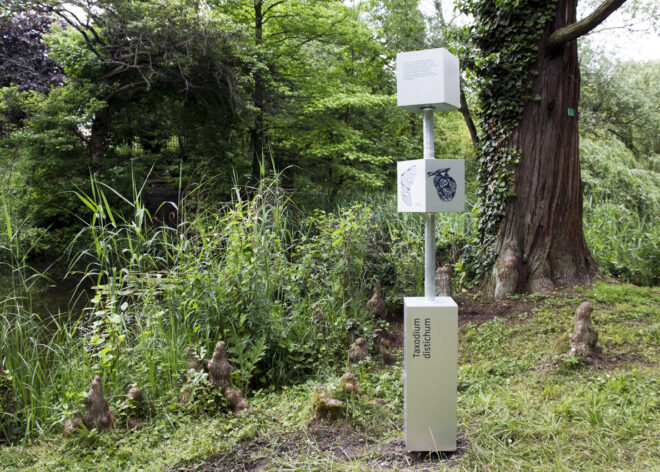 Image - Parcours « Totems » au Jardin botanique